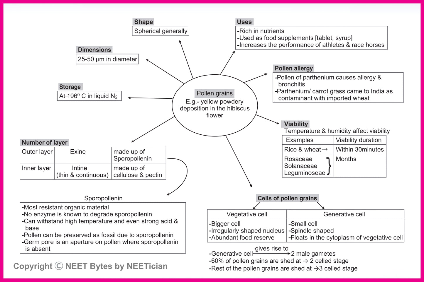 NEET Bytes: Your NEET Success Kit!