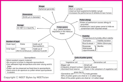 NEET Bytes: Your NEET Success Kit!