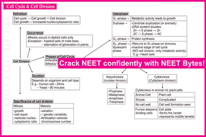 NEET Bytes: Your NEET Success Kit!