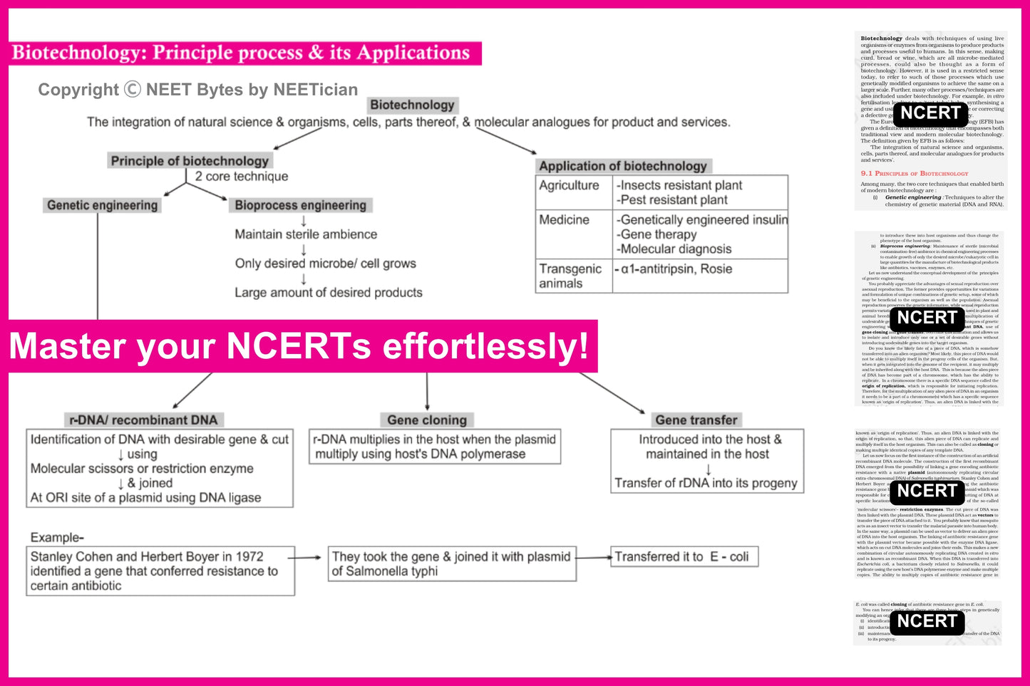 NEET Bytes: Your NEET Success Kit!