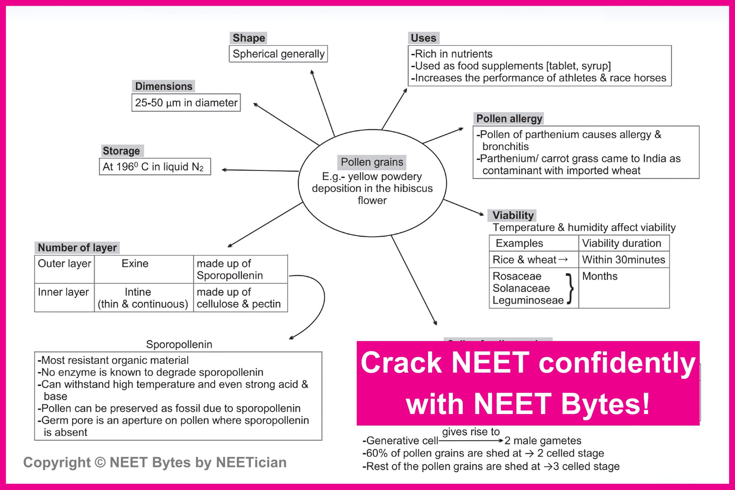 NEET Bytes: Your NEET Success Kit!