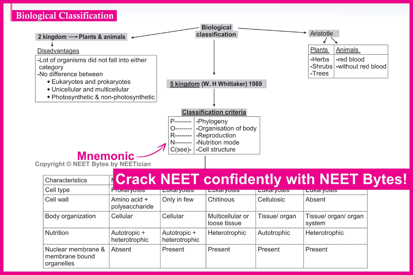 NEET Bytes: Your NEET Success Kit!