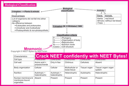 NEET Bytes: Your NEET Success Kit!