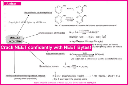 NEET Bytes: Your NEET Success Kit!