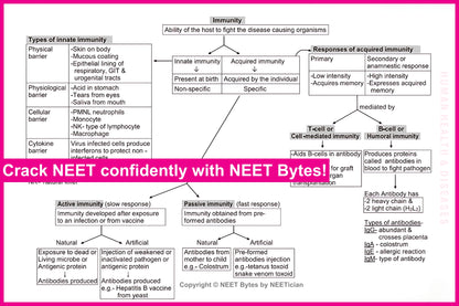 NEET Bytes: Your NEET Success Kit!