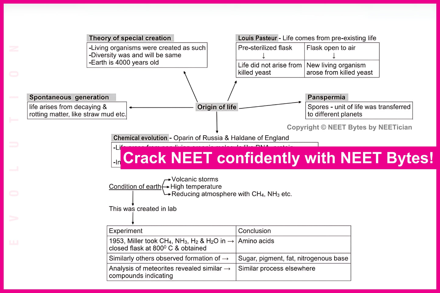 NEET Bytes: Your NEET Success Kit!