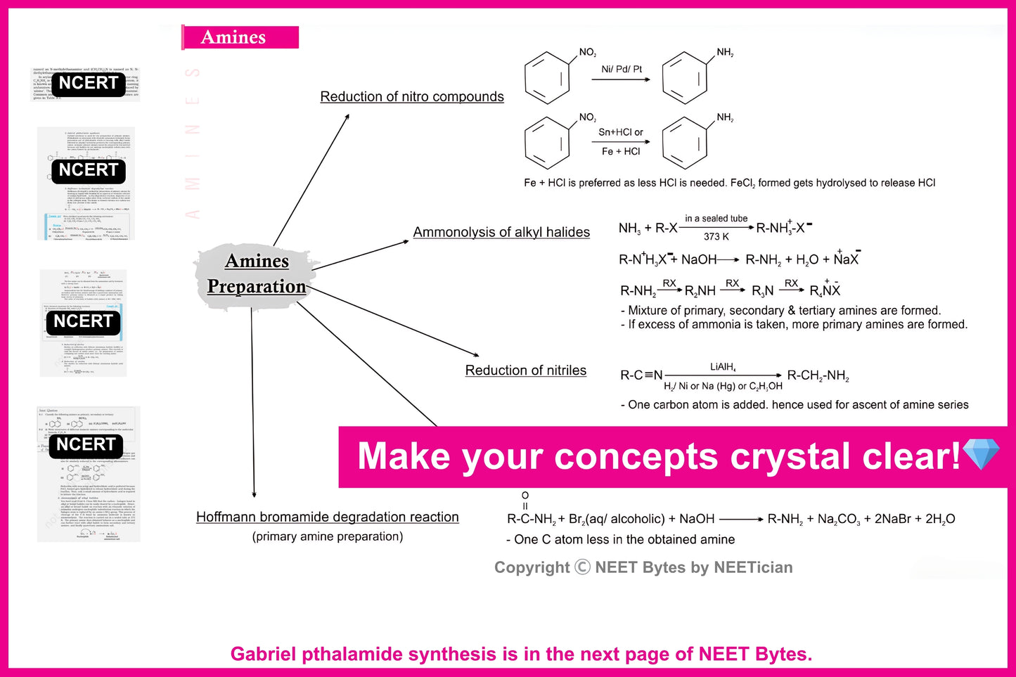 NEET Bytes: Your NEET Success Kit!