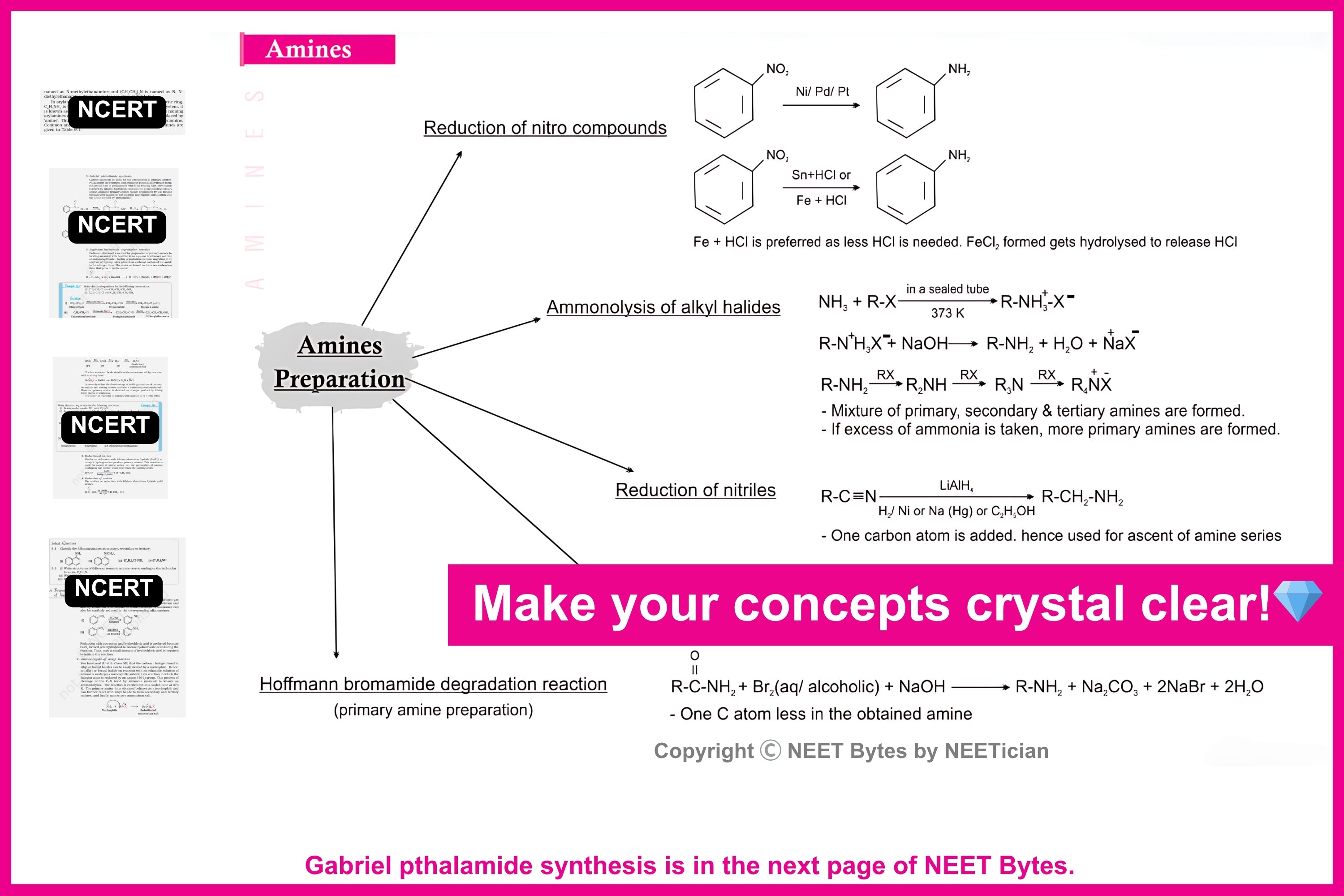 NEET Bytes: NEET Success Kit!