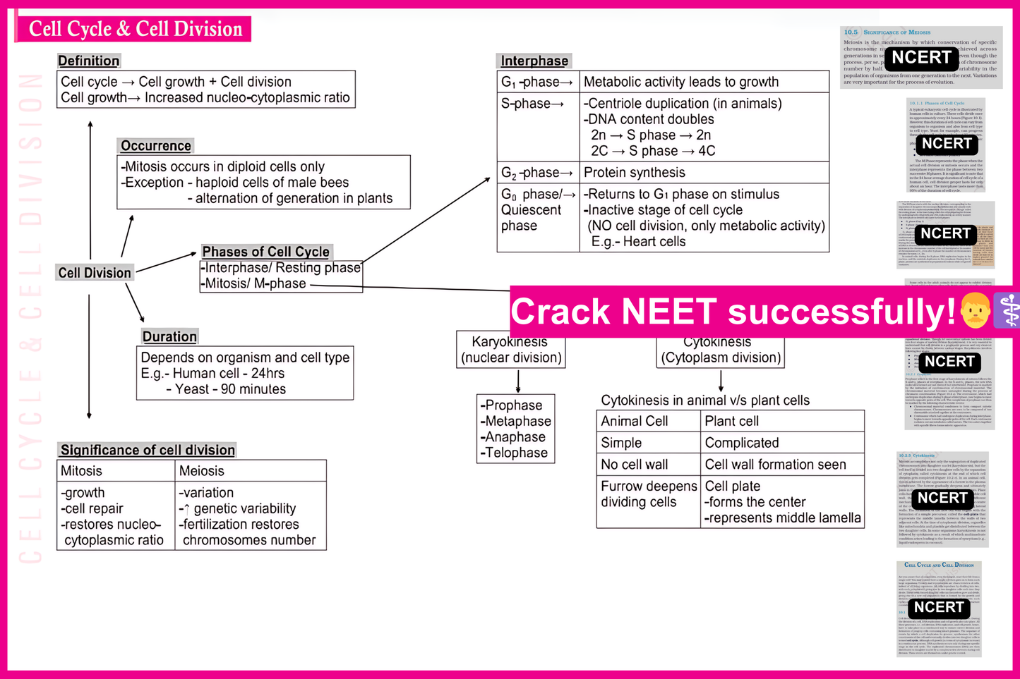 NEET Bytes: Your NEET Success Kit!