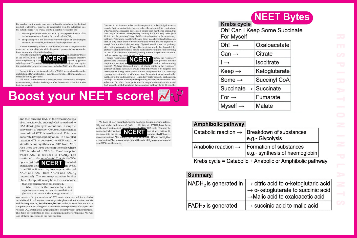 NEET Bytes: Your NEET Success Kit!