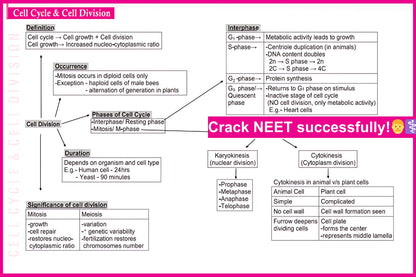 NEET Bytes: Your NEET Success Kit!