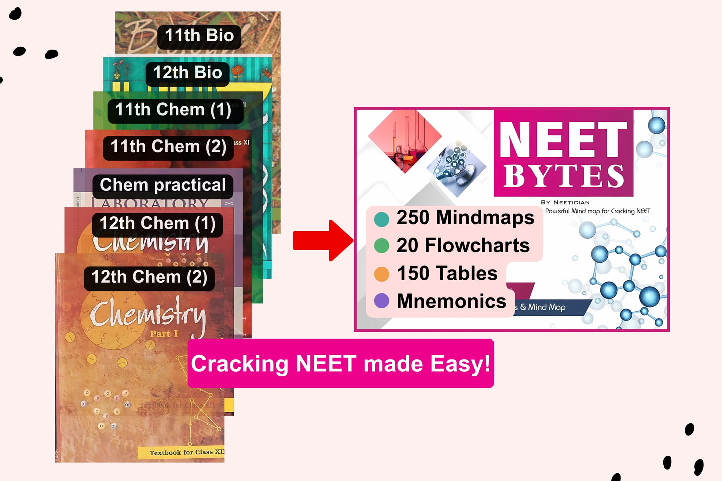 NEET Bytes: Your NEET Success Kit!