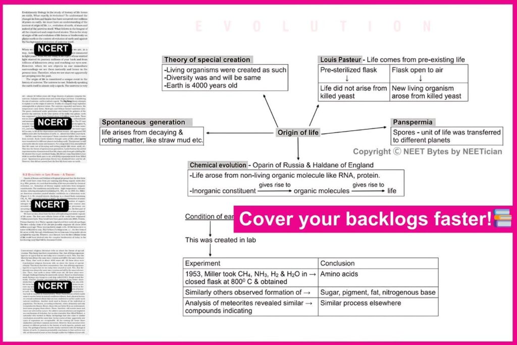 NEET Bytes: Your NEET Success Kit!