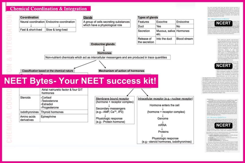 NEET Bytes: Your NEET Success Kit! - Image 5