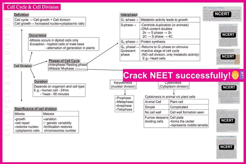 NEET Bytes: Your NEET Success Kit! - Image 6