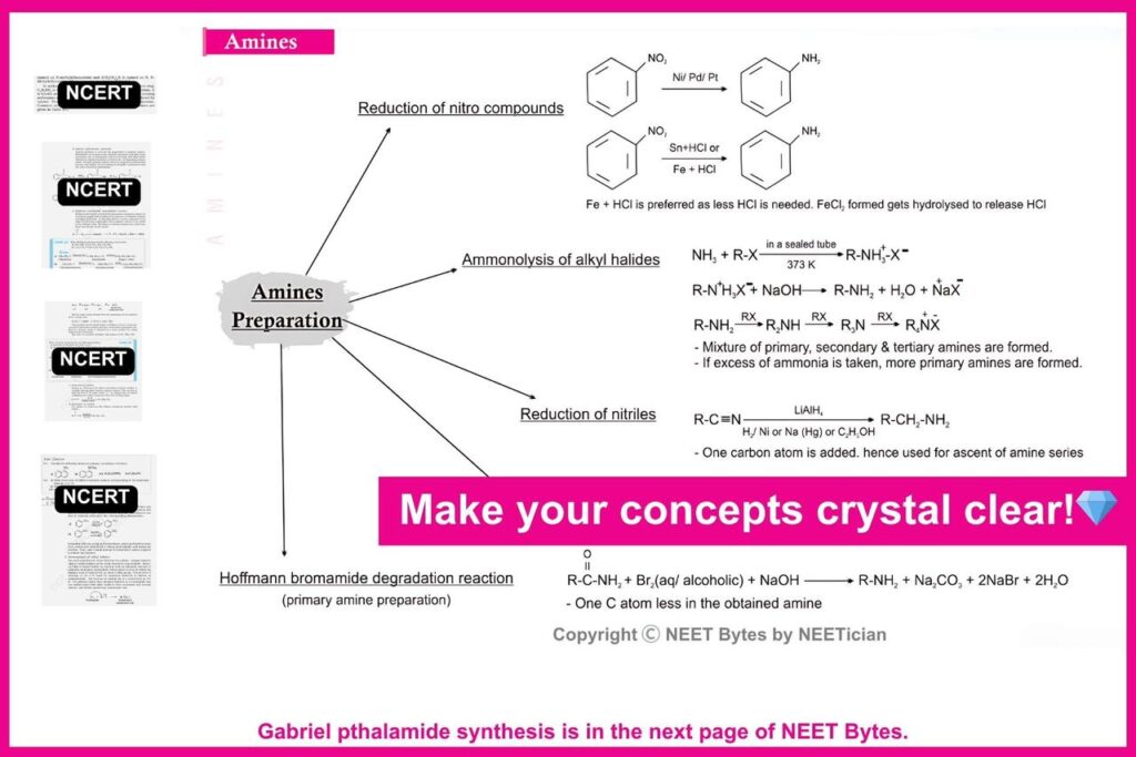 NEET Bytes: Your NEET Success Kit!