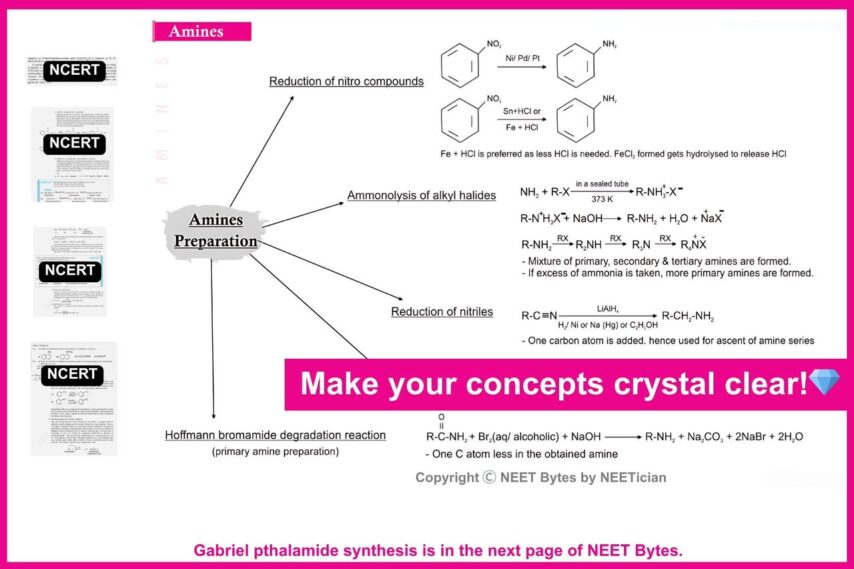 NEET Bytes: Your NEET Success Kit! - Image 8